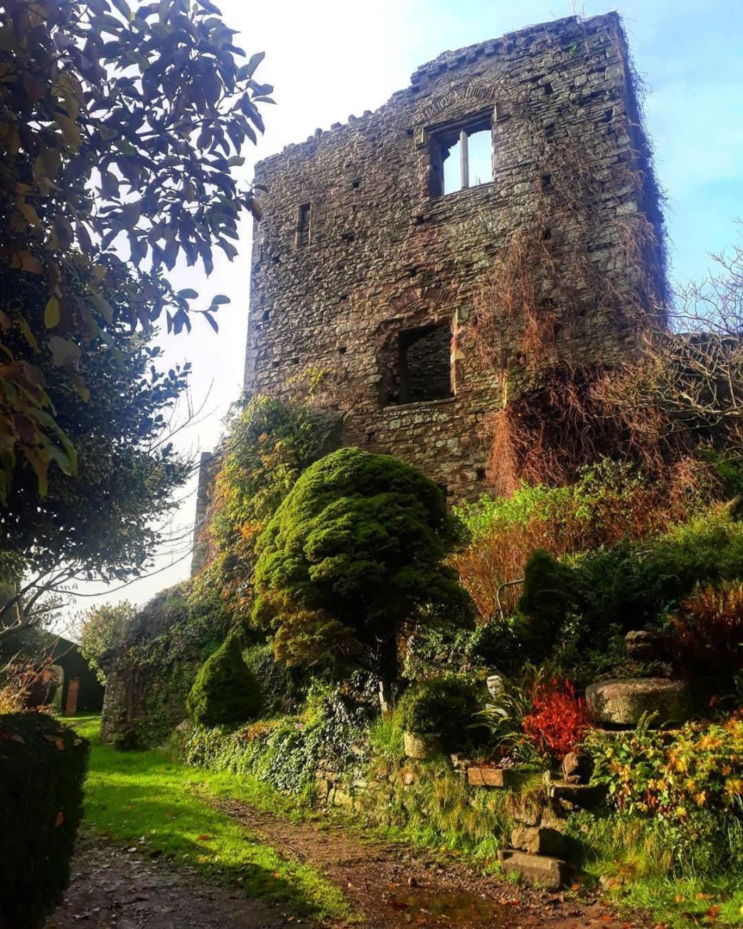 Poplars Cottage Usk Exterior foto